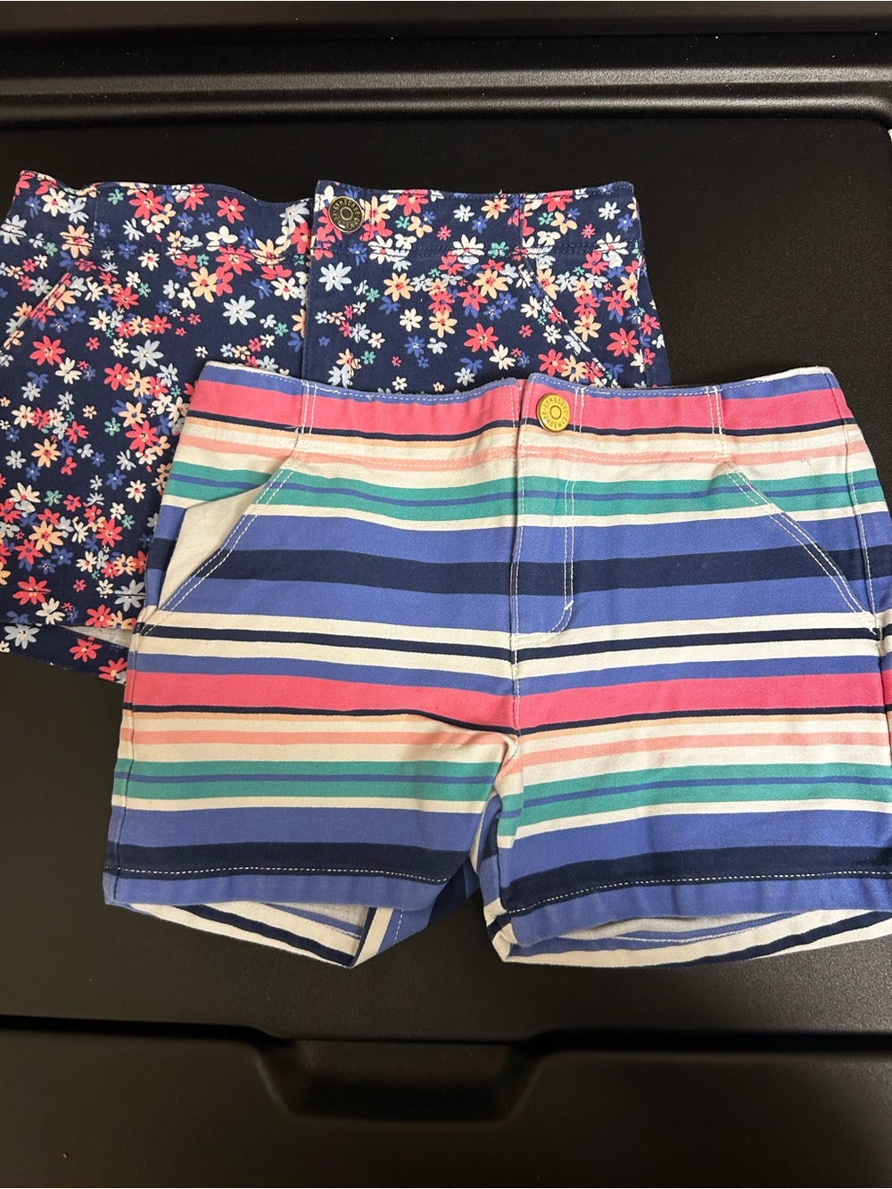Gymboree Navy Floral and Multicolor Striped Girls' Shorts Set